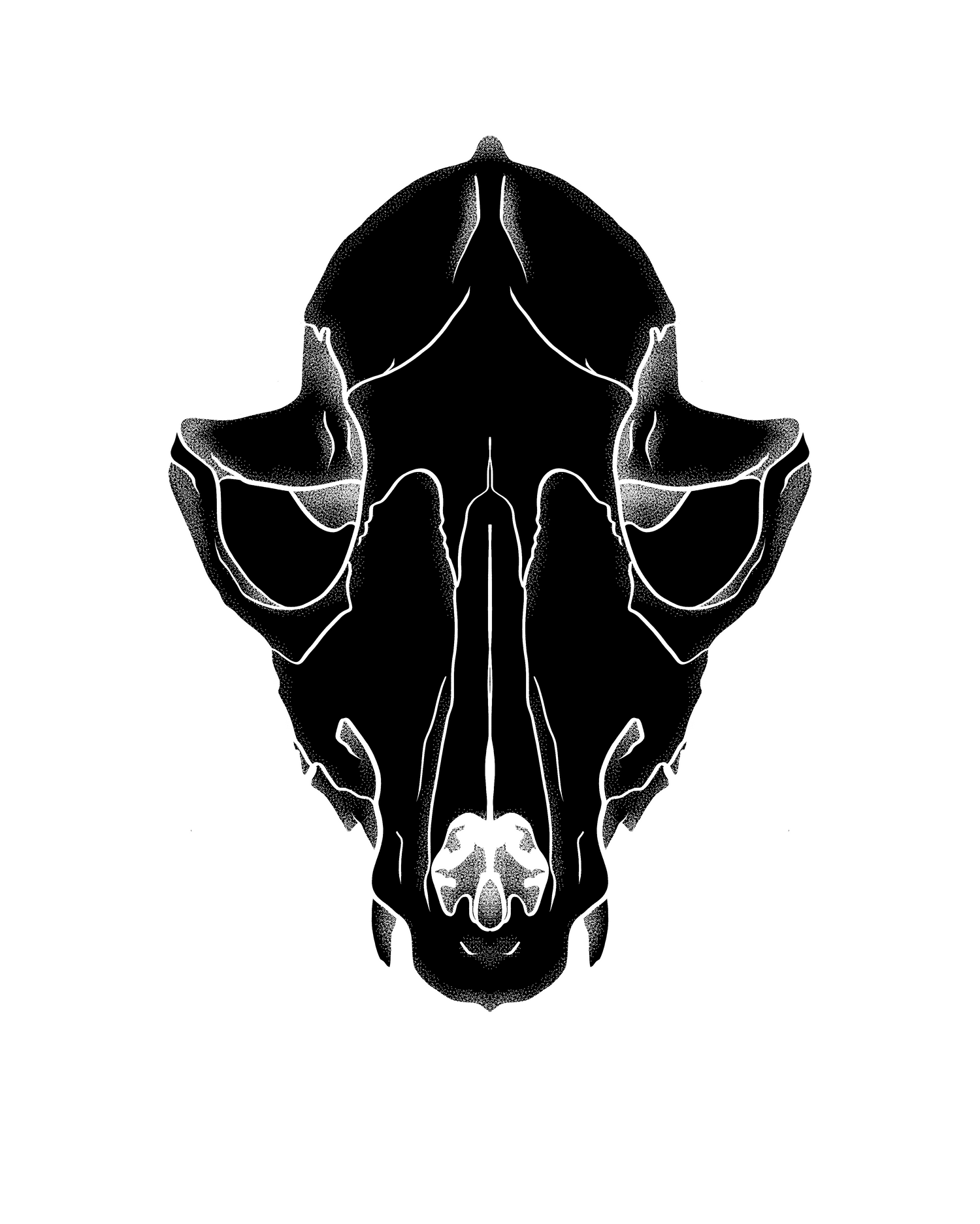 Equinox collection